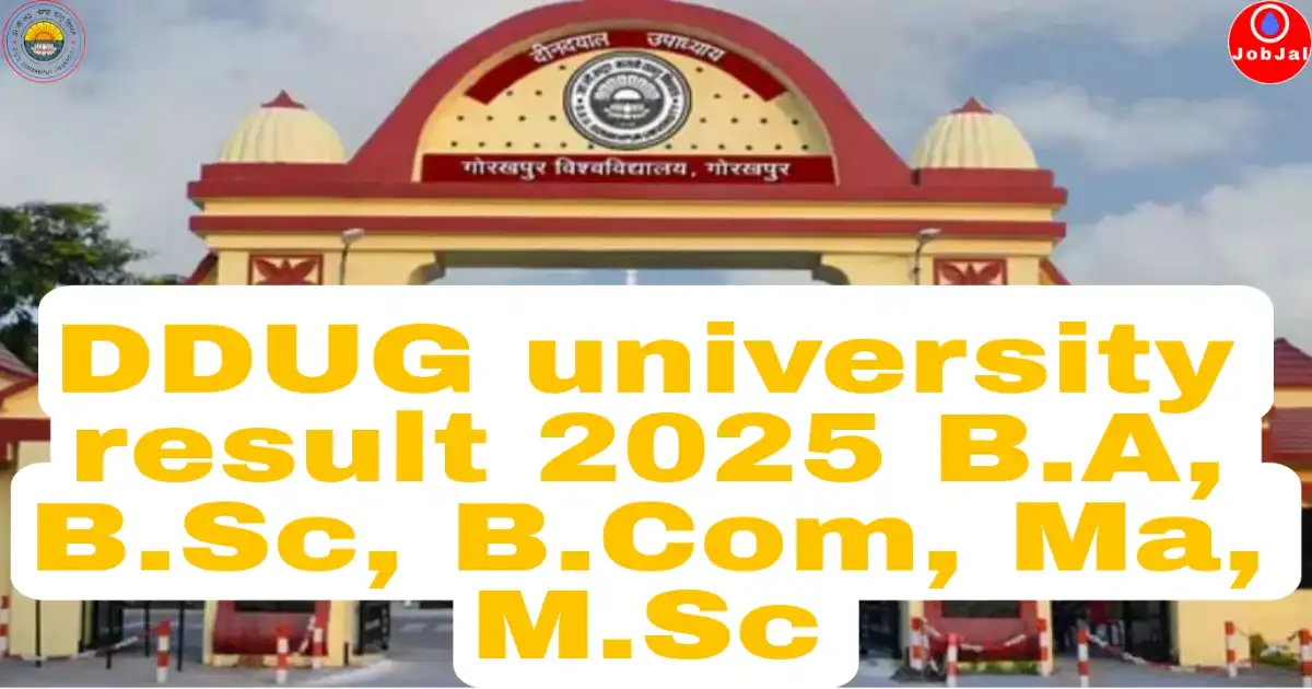 DDU result 2025