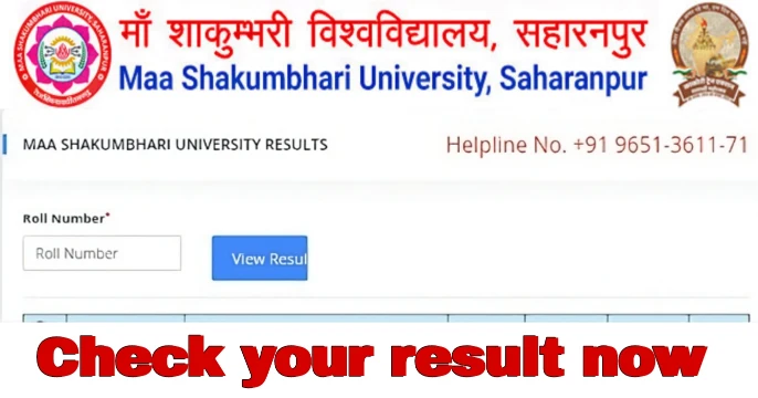 MSU result 2025
